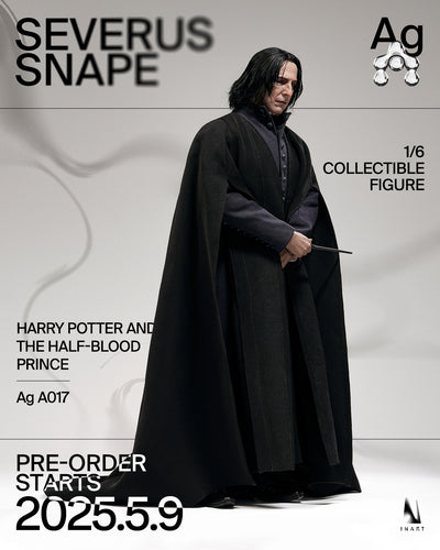 Harry Potter - Severus Snape InArt 1/6 Scale Figure