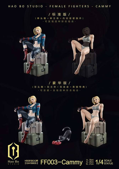 FF003 Cammy (Deluxe) 1/4 Scale Statue