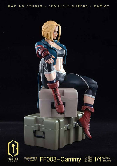 FF003 Cammy (Deluxe) 1/4 Scale Statue