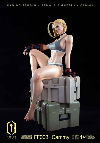 FF003 Cammy (Regular) 1/4 Scale Statue