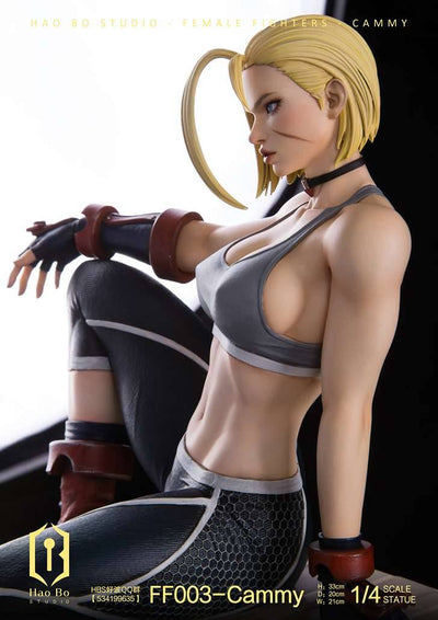 FF003 Cammy (Deluxe) 1/4 Scale Statue