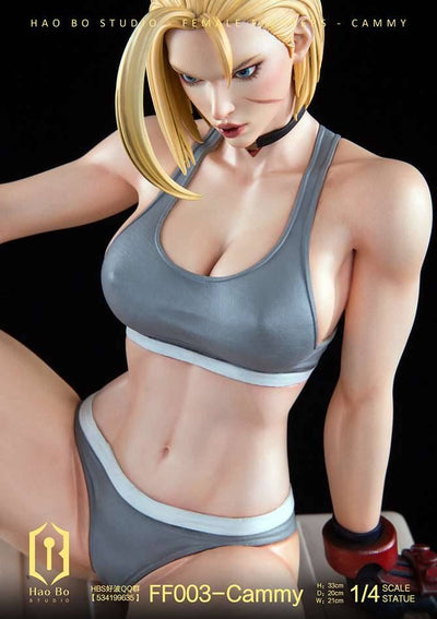 FF003 Cammy (Deluxe) 1/4 Scale Statue