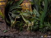 Jurassic World Fallen Kingdom - Blue Deluxe Art Scale 1/10