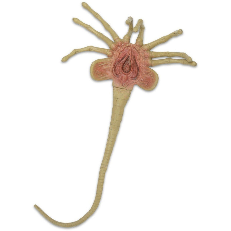 Facehugger Life Size Prop Replica by Neca