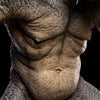 The Cave Troll Of Moria 1/6 Scale Statue