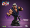 Street Fighter 2: Violent Ken 1/4 Scale Statue