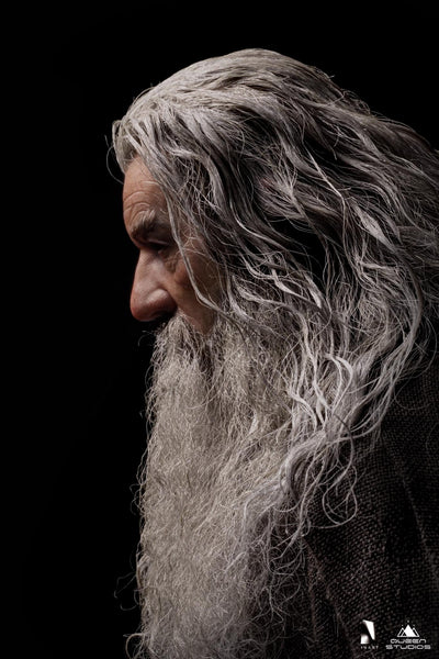 Gandalf InArt 1/6 Scale Figure