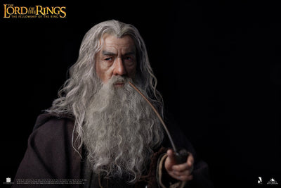 Gandalf InArt 1/6 Scale Figure