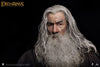 Gandalf InArt 1/6 Scale Figure