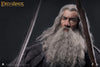 Gandalf InArt 1/6 Scale Figure