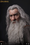 Gandalf InArt 1/6 Scale Figure