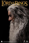 Gandalf InArt 1/6 Scale Figure