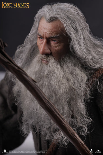 Gandalf InArt 1/6 Scale Figure