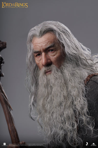 Gandalf InArt 1/6 Scale Figure