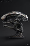 Alien Life-Size Bust