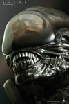 Alien Life-Size Bust