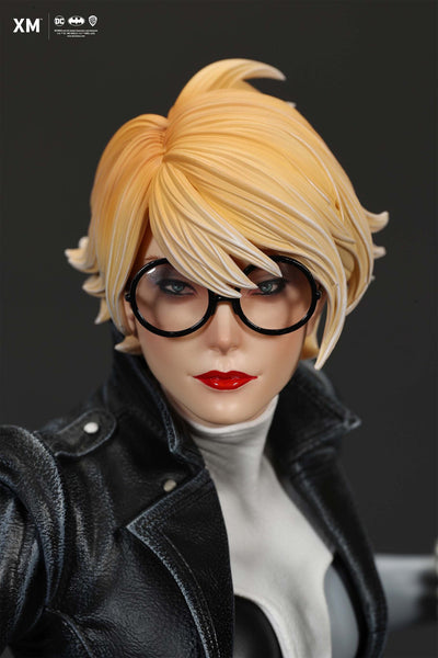 Batman White Knight - Harley Quinn (Stealth) 1/4 Scale Statue