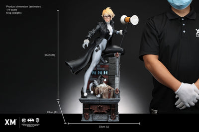 Batman White Knight - Harley Quinn (Stealth) 1/4 Scale Statue