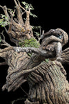 Leaflock the Ent 1/6 Scale Statue