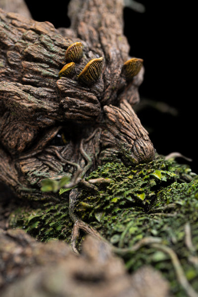 Leaflock the Ent 1/6 Scale Statue