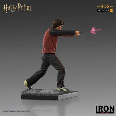 Harry Potter BDS Art Scale 1/10 Statue