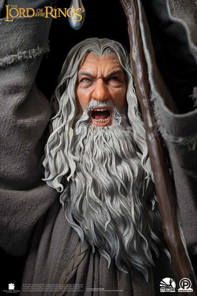 Gandalf the Grey 1/2 Scale Premium (SCULPTED HEAD) Statue