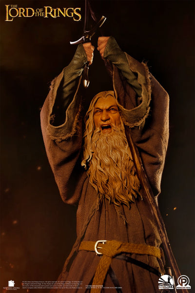 Gandalf the Grey 1/2 Scale Premium (SCULPTED HEAD) Statue