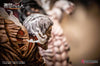 Attack On Titan: Eren Jaeger & Mikasa Vs. Armored Titan Elite Statue Exclusive