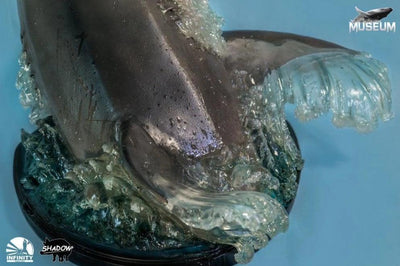 The Great White Shark Museum Series Statue