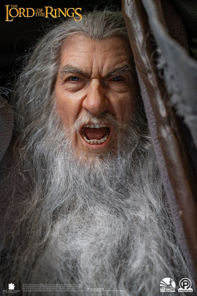 Gandalf the Grey 1/2 Scale ULTIMATE (SILICONE HEAD) Statue