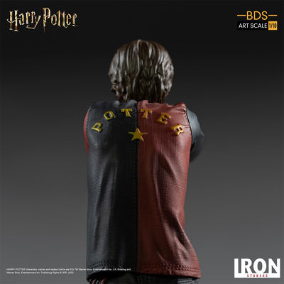 Harry Potter BDS Art Scale 1/10 Statue