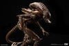 Alien Hive Warrior 1/3 Scale Premium Statue
