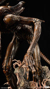 Alien Hive Warrior 1/3 Scale Premium Statue