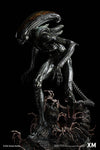 Alien Hive Warrior - Black Variant - 1/3 Scale Premium Statue