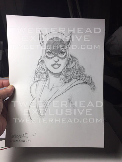 Catwoman Super Powers Maquette Statue by Tweeterhead