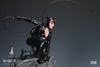 Catwoman Rebirth 1/6 Scale Statue