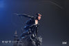 Catwoman Rebirth 1/6 Scale Statue