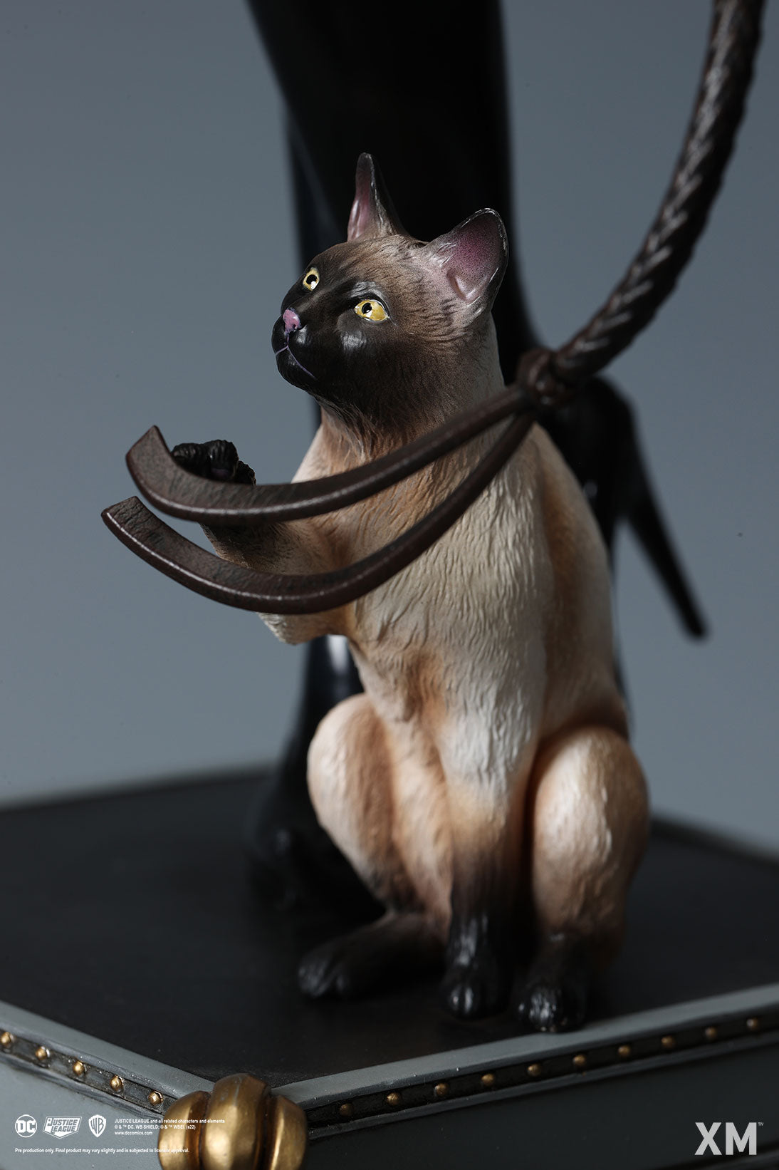 CAT WOMAN #4 small size main image 0