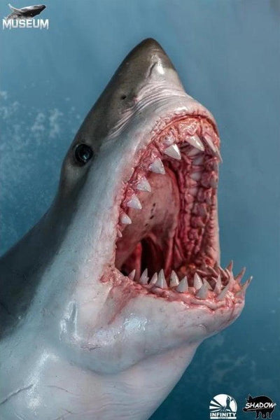 The Great White Shark Museum Series Statue