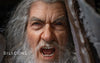 Gandalf the Grey 1/2 Scale ULTIMATE (SILICONE HEAD) Statue