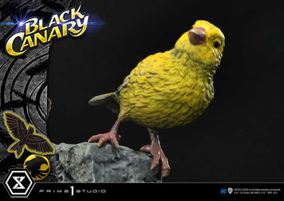 Black Canary EX BONUS 1/3 Scale Statue