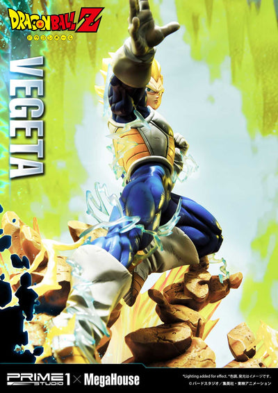 Dragon Ball Z Super Saiyan Vegeta REGULAR