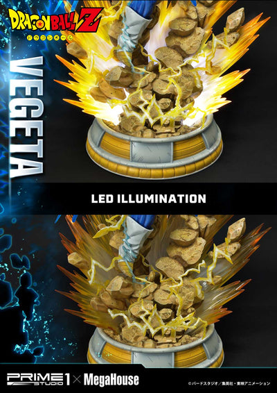 Dragon Ball Z Super Saiyan Vegeta REGULAR