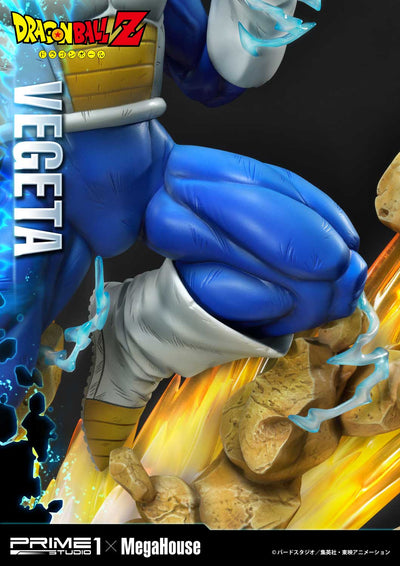 Dragon Ball Z Super Saiyan Vegeta REGULAR