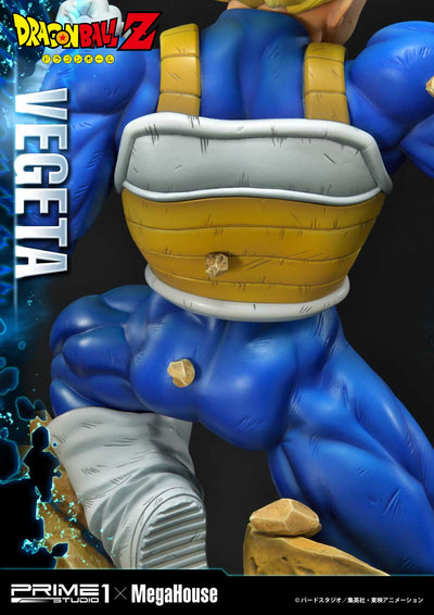 Dragon Ball Z Super Saiyan Vegeta REGULAR