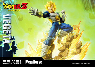 Dragon Ball Z Super Saiyan Vegeta REGULAR