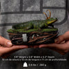 Alligator Loki Art Scale 1/10