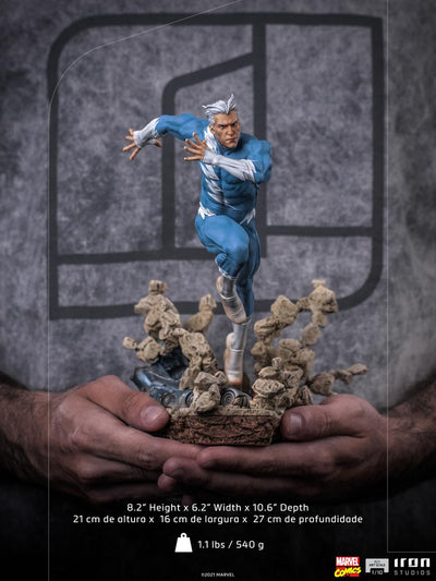 Quicksilver BDS 1/10 Art Scale Statue