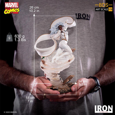 Storm vs Sentinel BDS Art Scale Statue