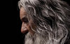 Gandalf InArt 1/6 Scale Figure